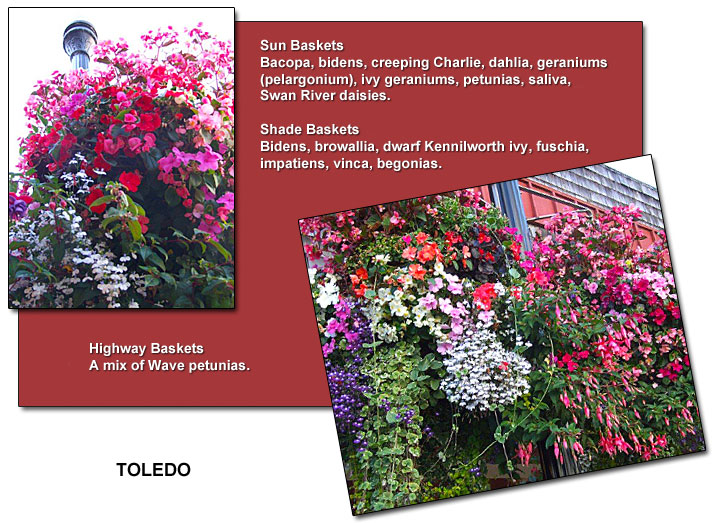 Toledo's summer flower baskets