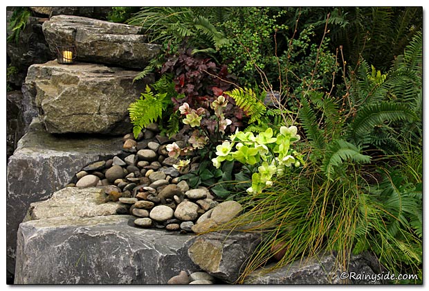 Rock Work and Plants