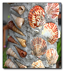shells embedded in post