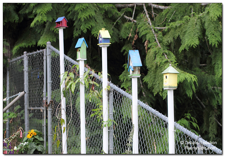 Birdhouses lined up in a row.