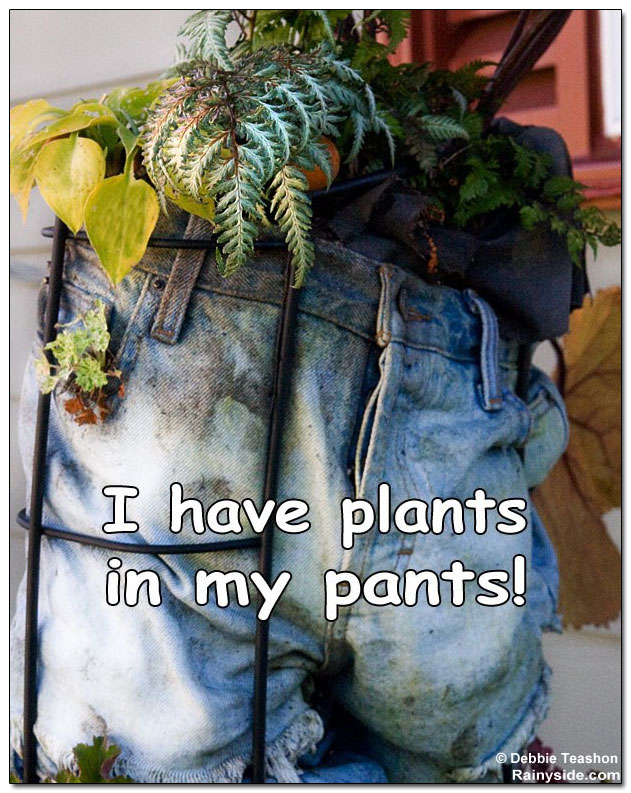 Plants in pants