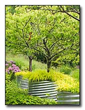 Fruit tree containers