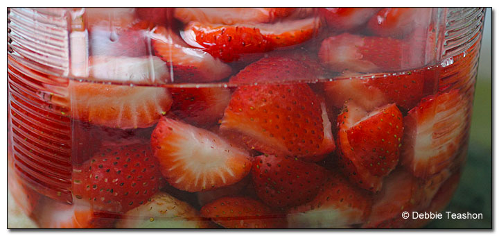 Strawberries and Vodka