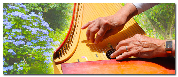 Music in the Gardens Tour