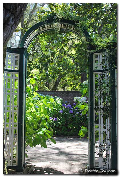 Filoli Garden Entry