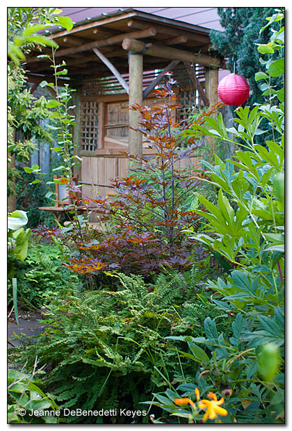 Asian Temple in Summer