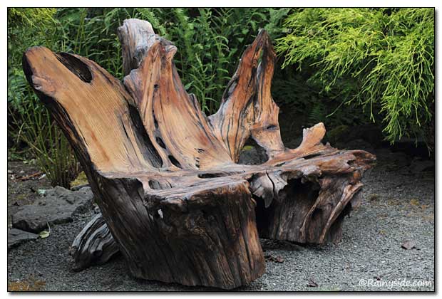 Driftwood Bench