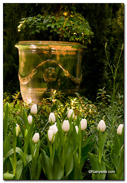 tulips and pottery