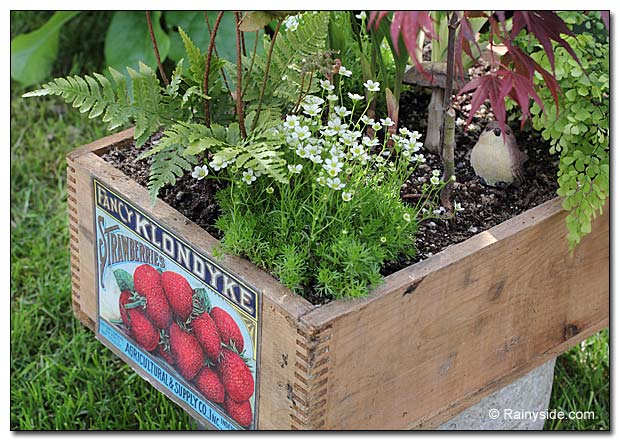 wooden box for planting