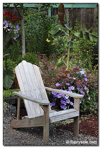 Container Garden and chair