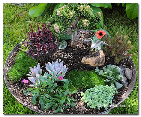 Metal Bowl Planter