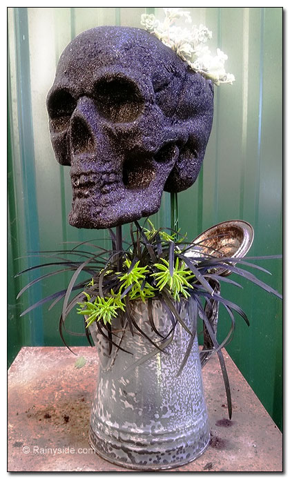 plants and skull