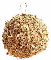 sphagnum moss ball hanger