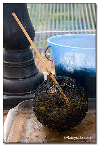 pushing moss in place pushing moss in place