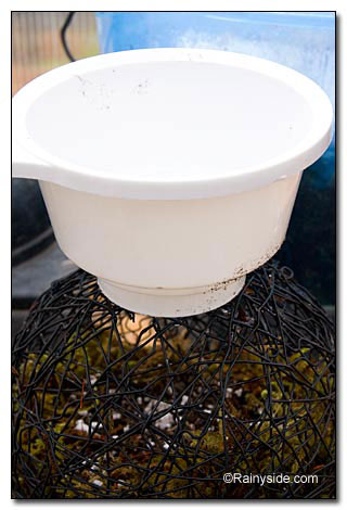 funnel for filling funnel for filling