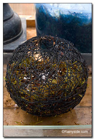 fill well with soil fill well with soil