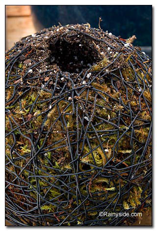 fill to the top fill to the top