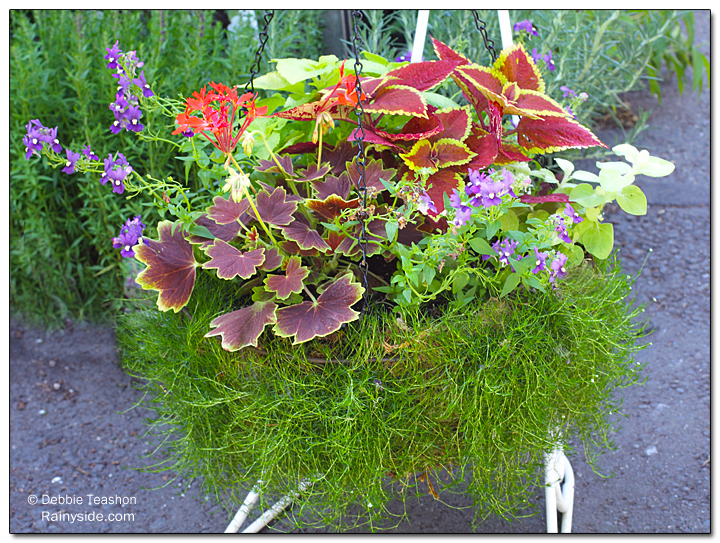 A new spin on a moss-lined wire basket