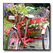 Flowertrike